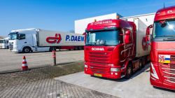 20260321-Daemen-00339